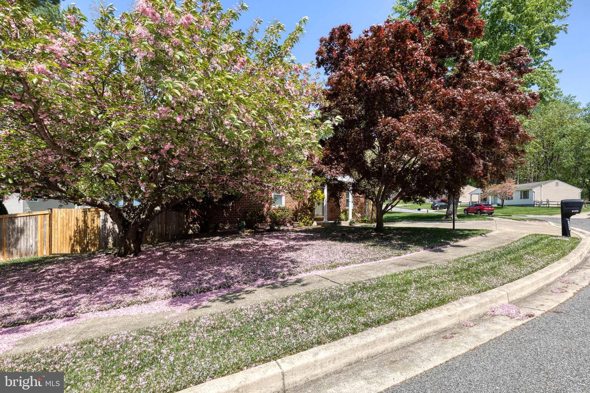 DONCASTER VILLAGE - Residential