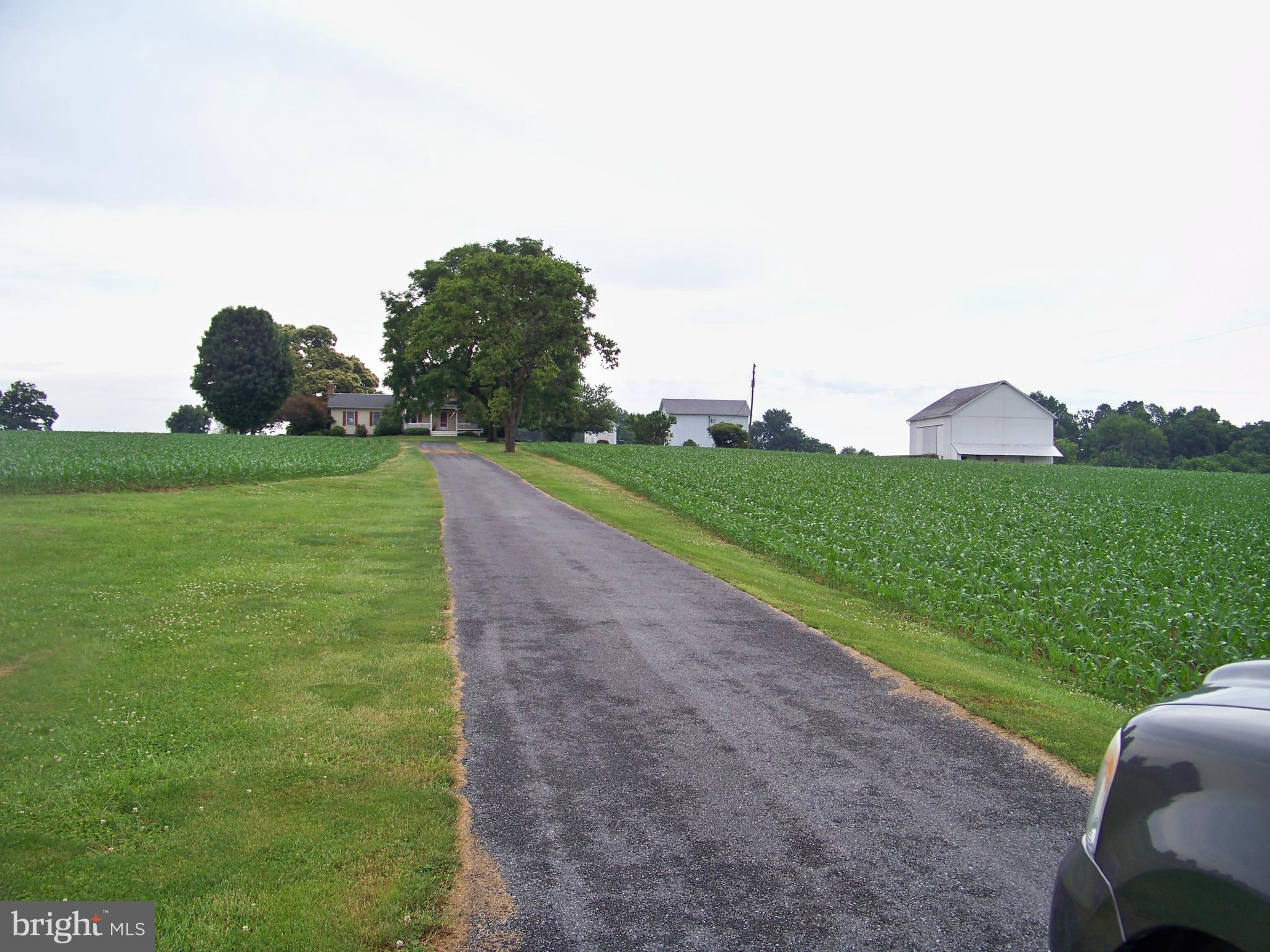 DRUMORE TWP - Farm
