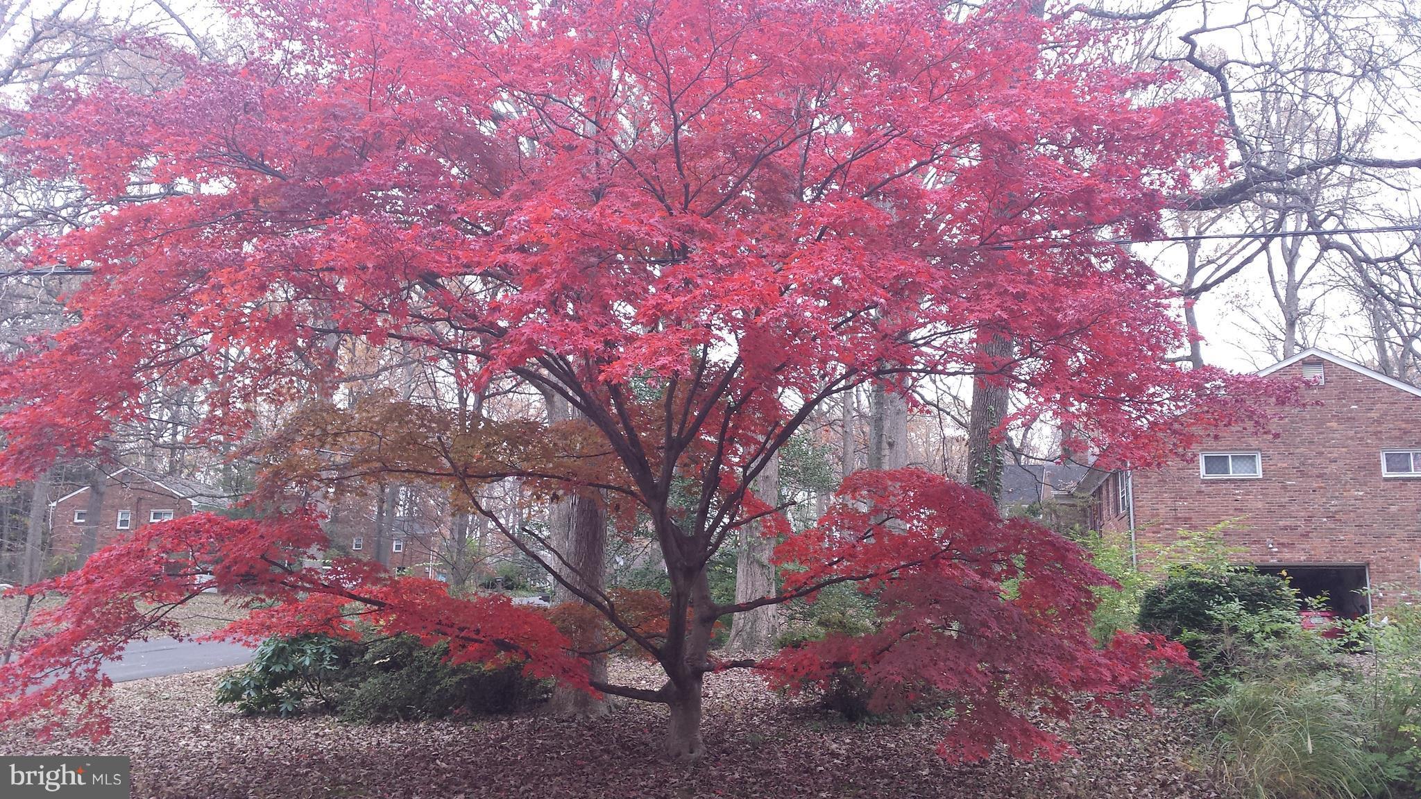 OAKDALE PARK - Residential