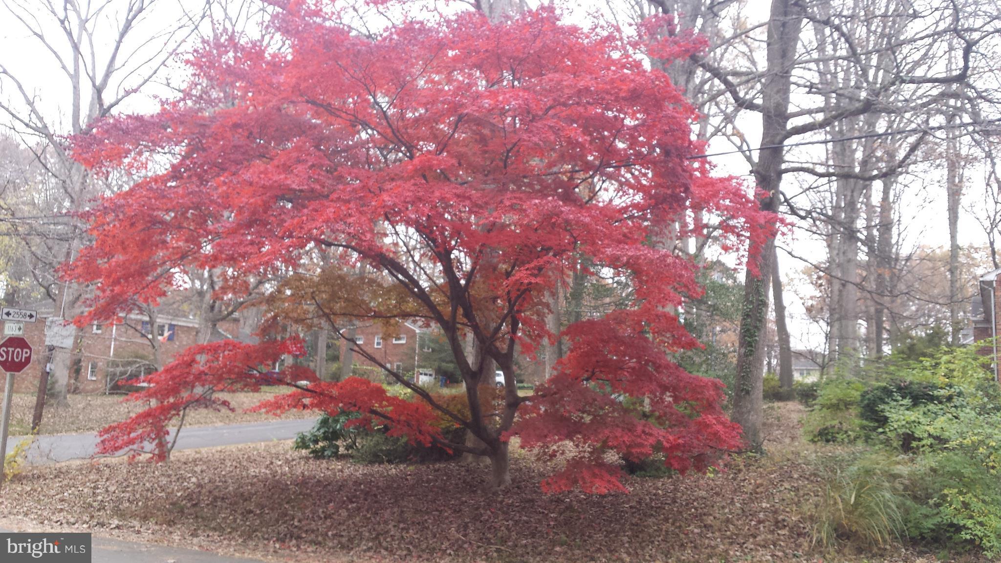 OAKDALE PARK - Residential