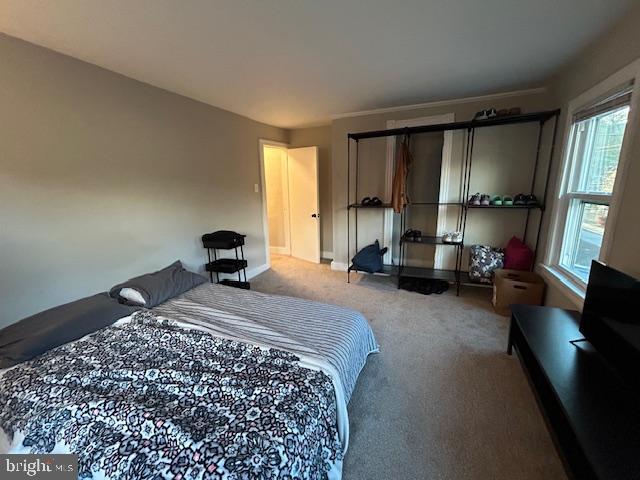 MOHNTON - Residential