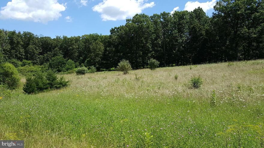 NEW CONSTRUCTION CUSTOM HOMES. Oatlands Manor a Modern Country Estate Custom Home Community – Build to Suit! Welcome to Oatlands Manor, a 15 lot luxurious custom estate home community in stunning Loudoun County, where luxury meets serenity. Each home is nestled on a spacious 3-acre minimum homesite, these properties offers the perfect canvas for creating your dream home. Starting at $2.195k each home offers thoughtful design, new dynamic floorplans, expansive living spaces with serene surroundings. Customize Your Ideal Living Space: - Choose from architecturally stunning home designs, blending modern elegance with classic country charm - Expansive open-concept floor plans with gourmet kitchens, vaulted ceilings, and panoramic windows - Option for luxurious primary suites with spa-like bathrooms and oversized walk-in closets - High-end custom finishes, including hardwood floors, premium countertops, and designer cabinetry - Integrated smart home technology, energy-efficient features, and eco-friendly materials - Outdoor living spaces designed for relaxation—covered porches, patios, and optional pools Located in Loudoun County’s picturesque countryside, this community offers easy access to top-rated schools, fine dining, wineries, and outdoor adventures. Enjoy the peaceful, private setting without sacrificing convenience to nearby amenities. All lots are platted with approved drainfields and public water at the lots. Ready to pull building permits. Your Dream Home, Your Way – Start Building Today!