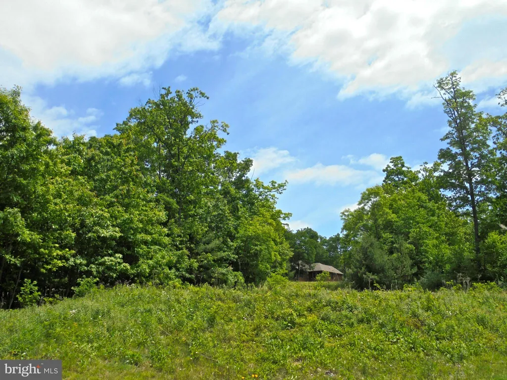 Lot 31 The Pinnacle Dr, Swanton, MD 21561