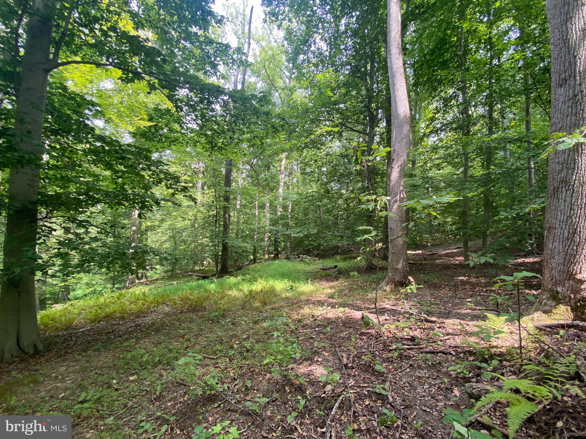 504 HOLLY ROAD