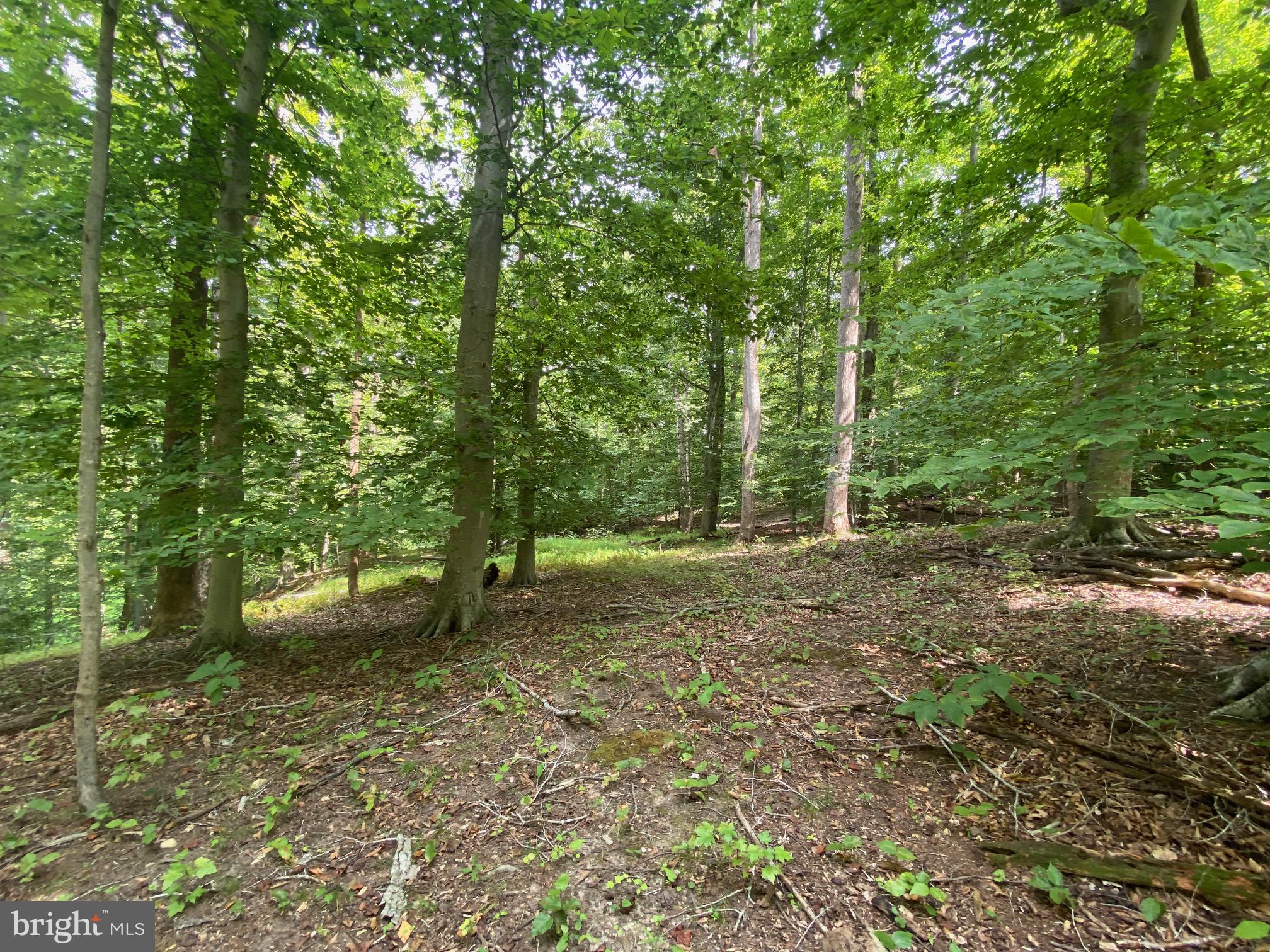 504 HOLLY ROAD