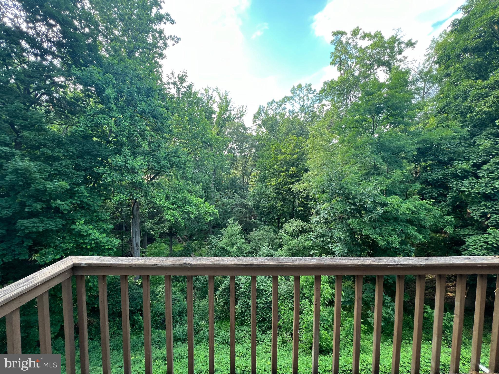 10 MAPLEWOOD AVENUE 2B