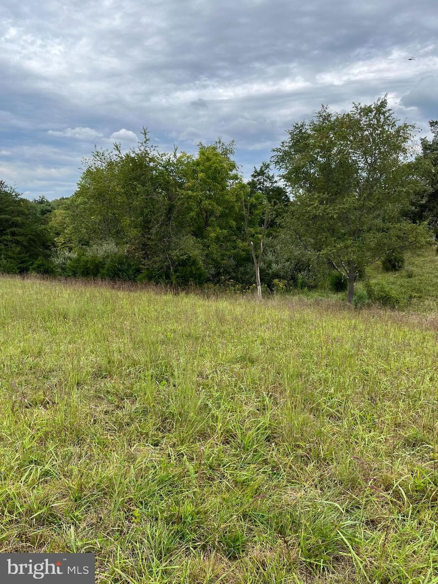 Great lot with access to the pond. This lot is idea for your dream home.