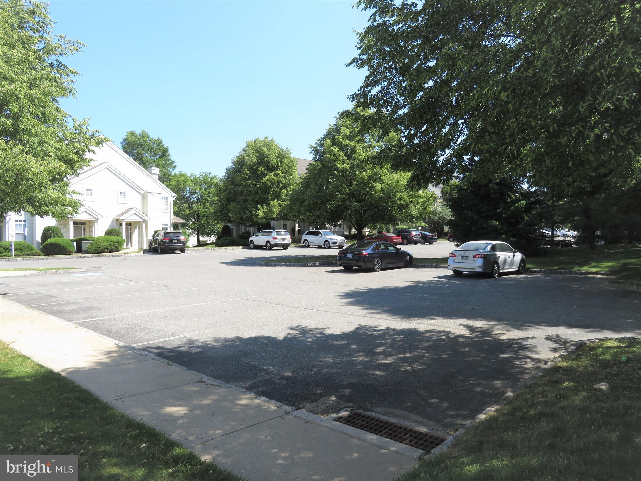 113 DRESHER WOODS DRIVE