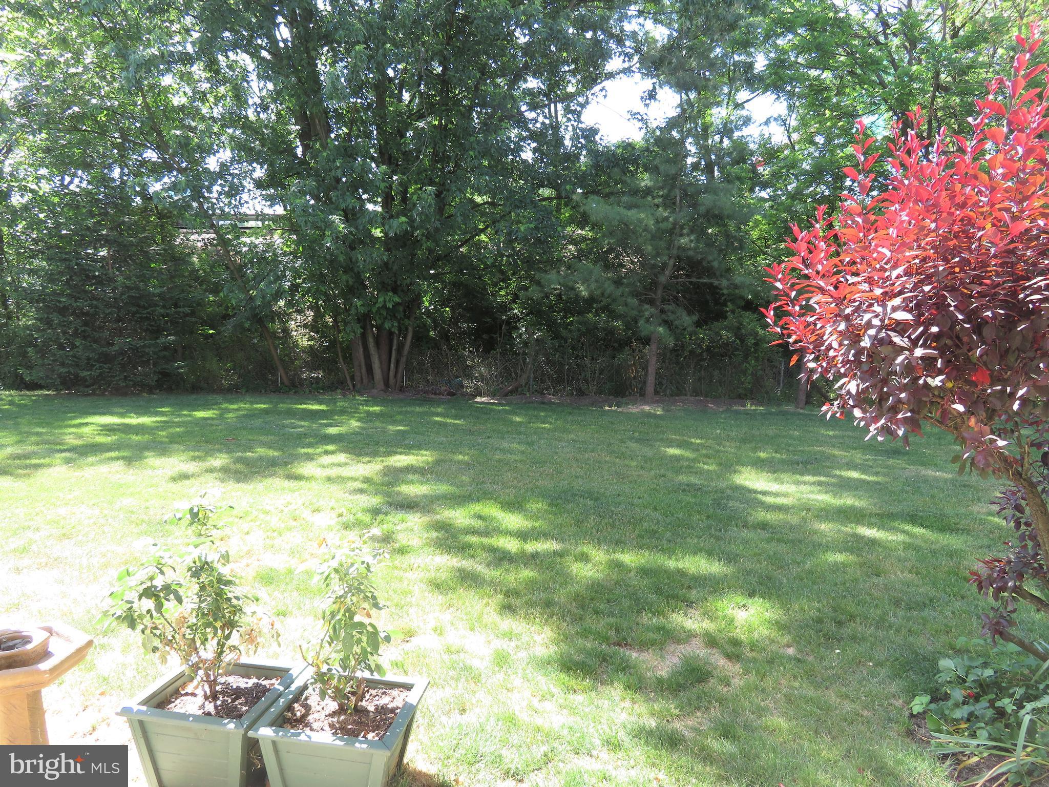 113 DRESHER WOODS DRIVE