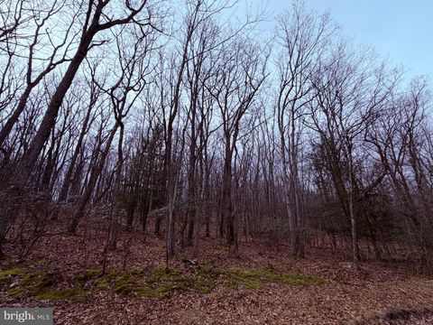 Vacant Land For Sale - 461 Spring Mountain Dr<br/> ZION GROVE, PA 17985
