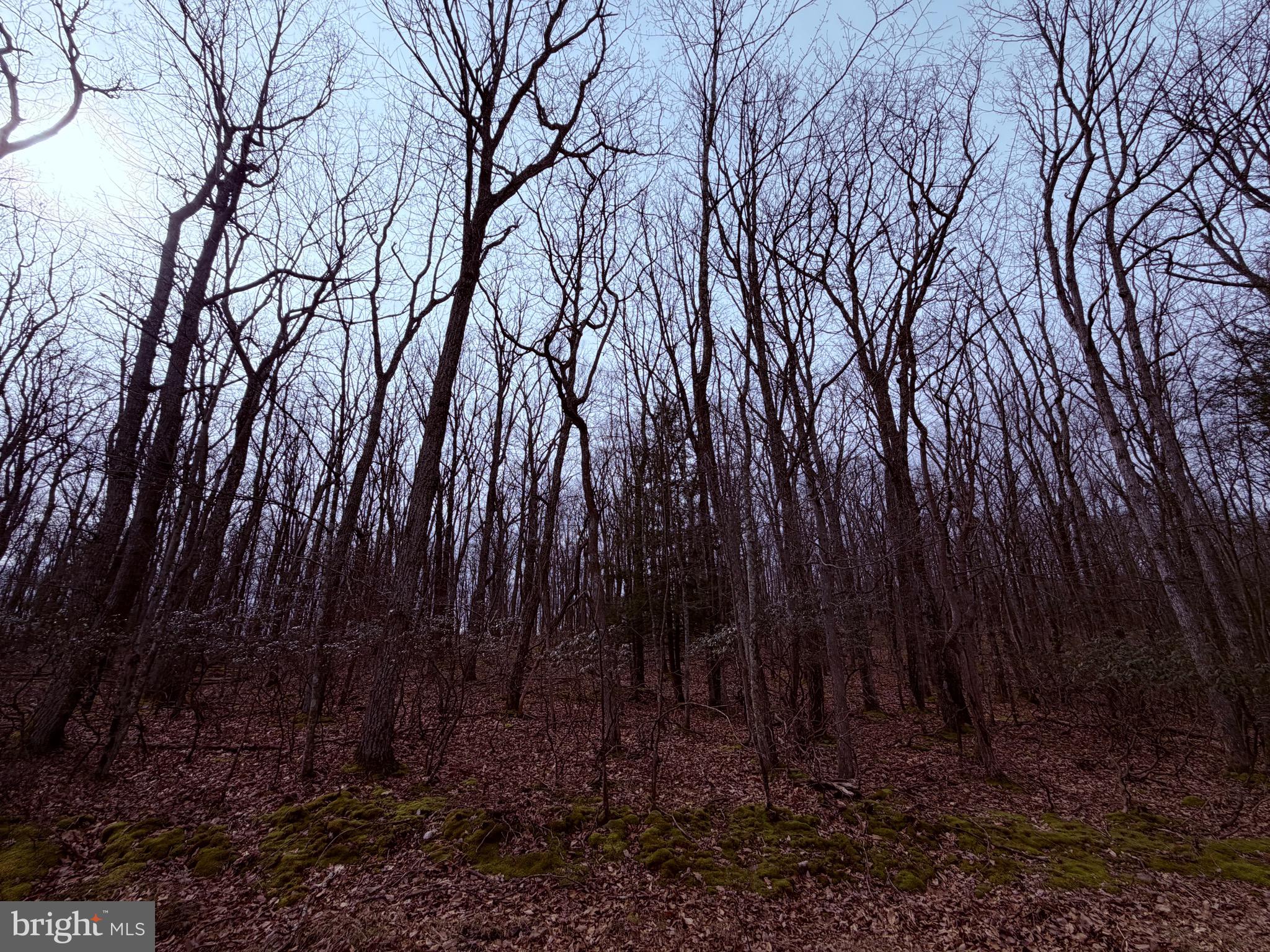 461 SPRING MOUNTAIN DR