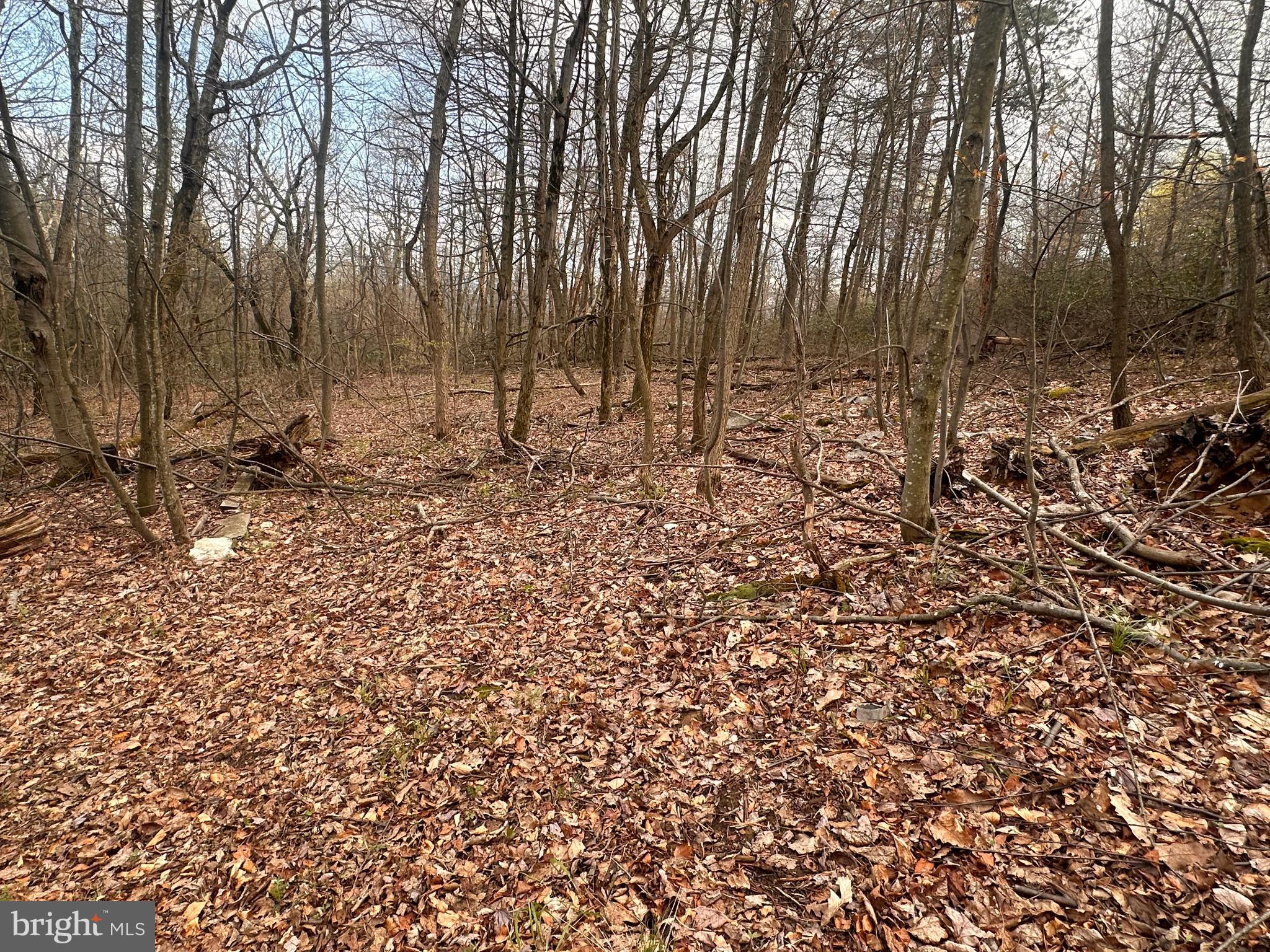 TUSCARORA HEIGHTS - Residential