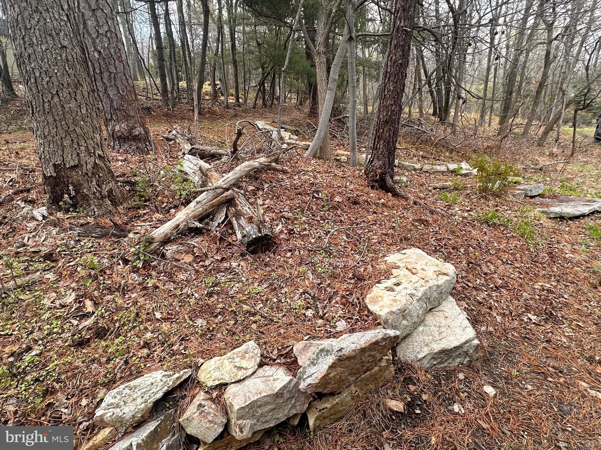 TUSCARORA HEIGHTS - Residential