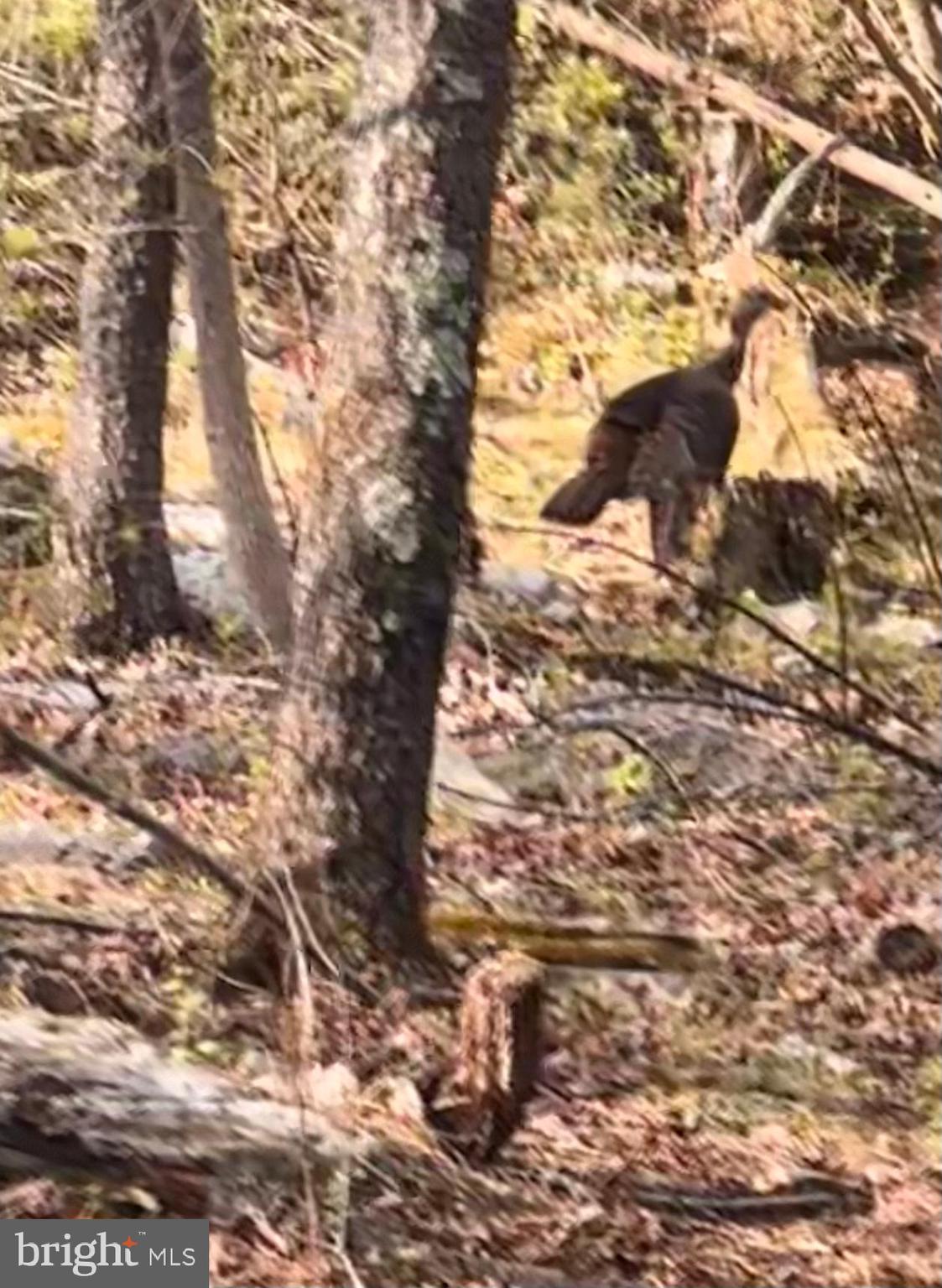 TUSCARORA HEIGHTS - Residential