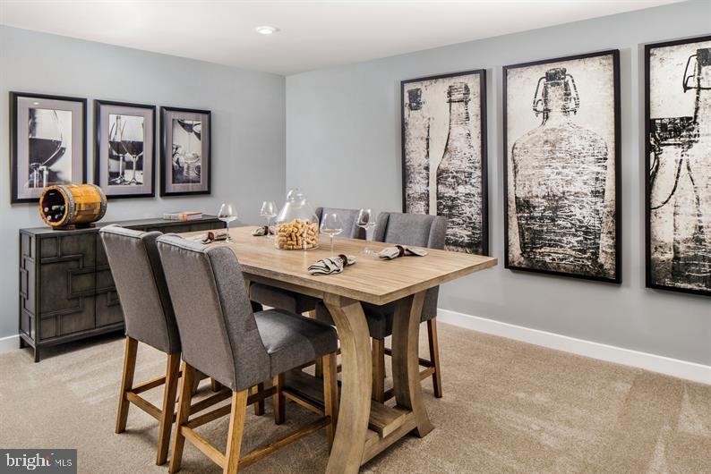 BLUE RIDGE PARK - Residential
