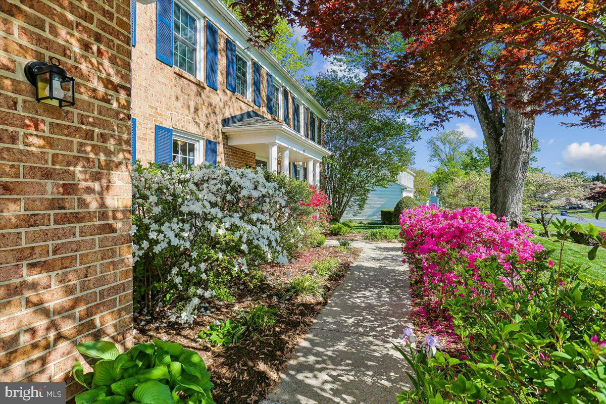 POTOMAC CHASE - Residential