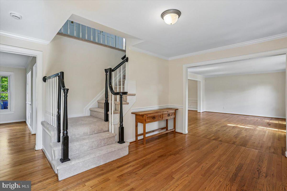 POTOMAC CHASE - Residential