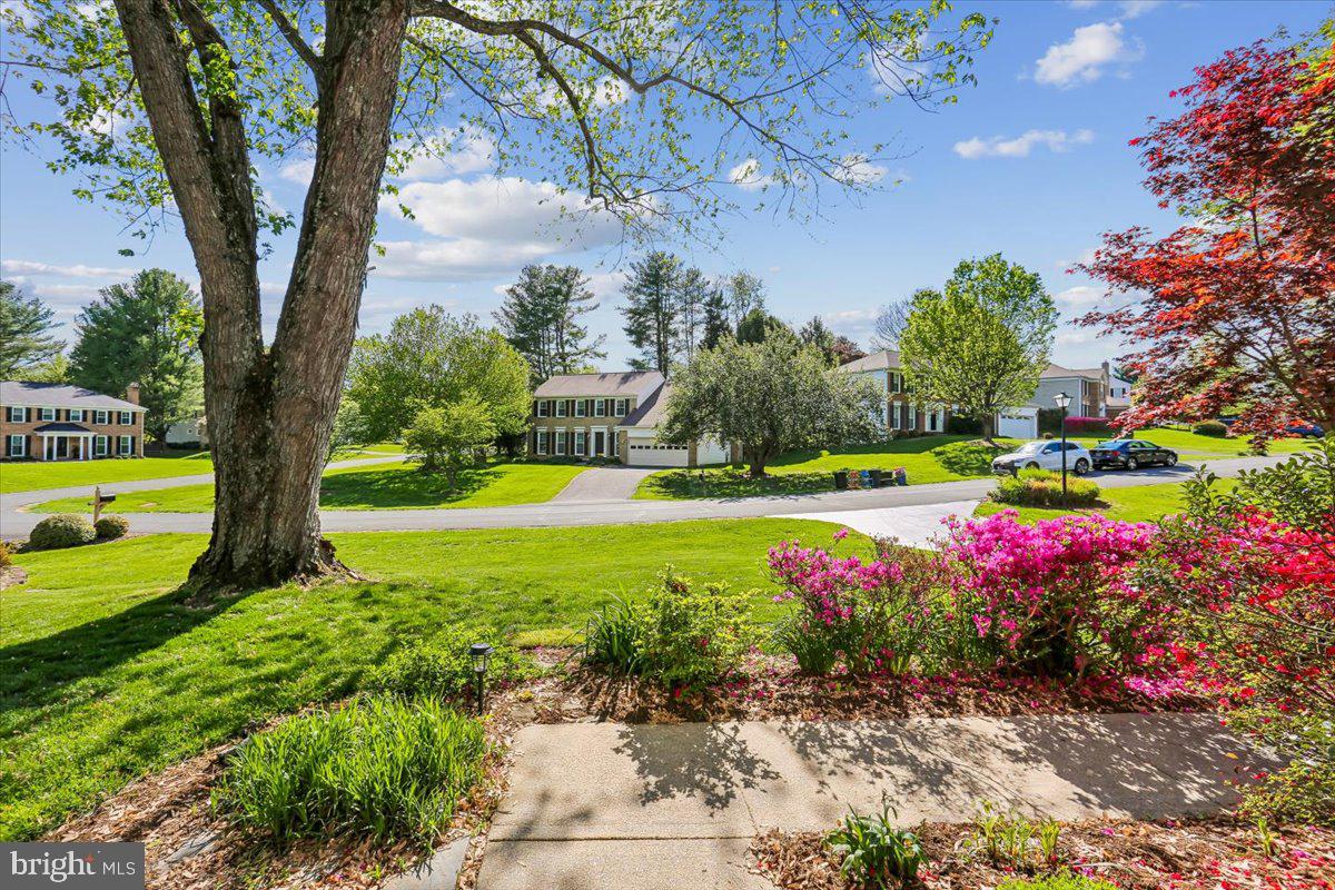 POTOMAC CHASE - Residential