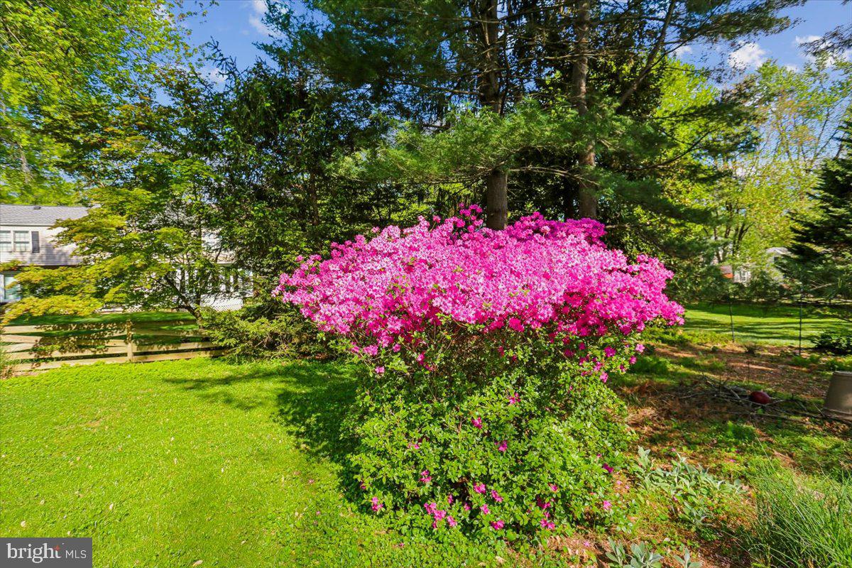 POTOMAC CHASE - Residential