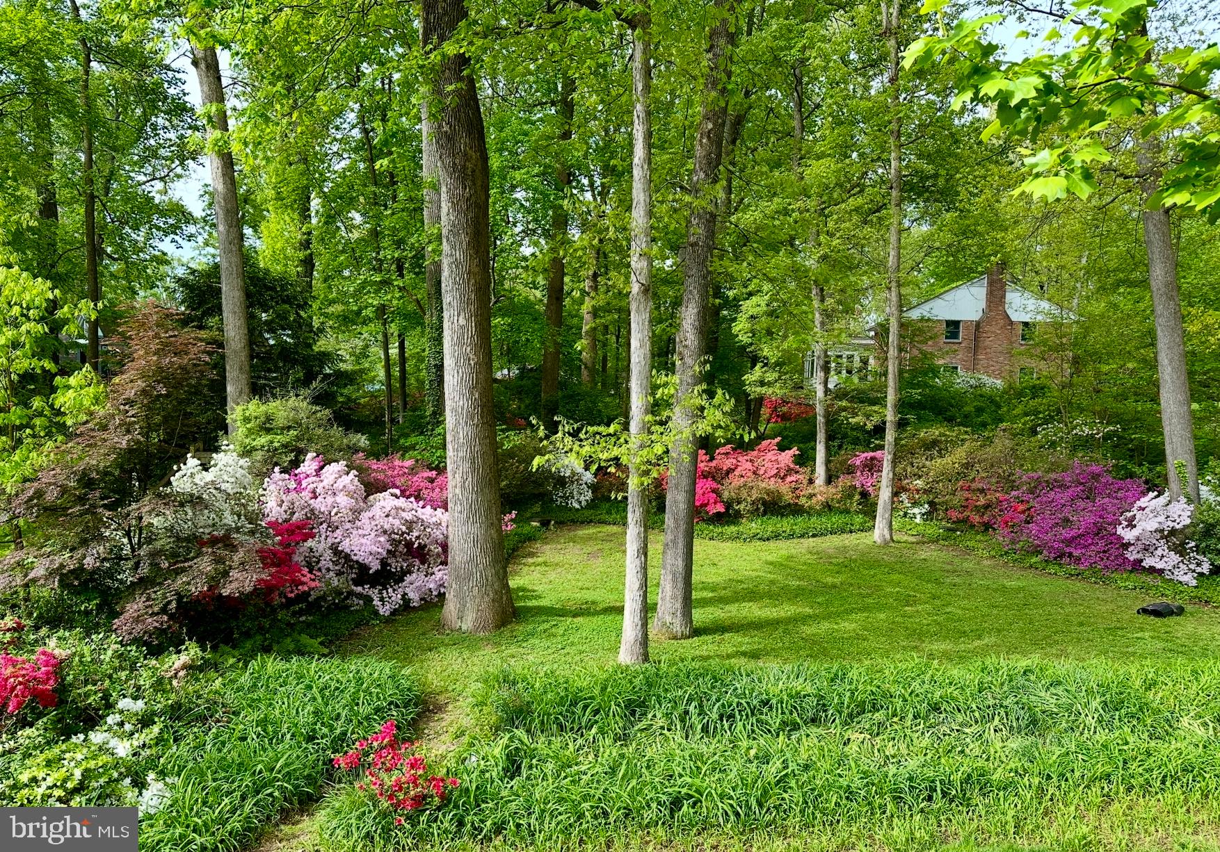 6359 CAVALIER CORRIDOR