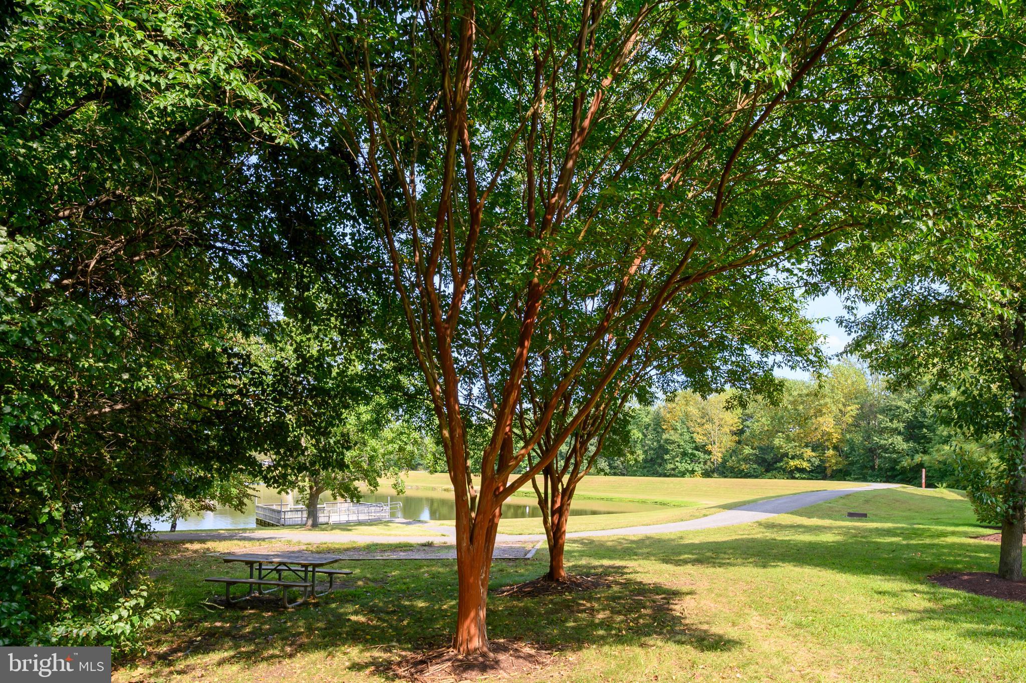 BOWIE TOWERS - Residential
