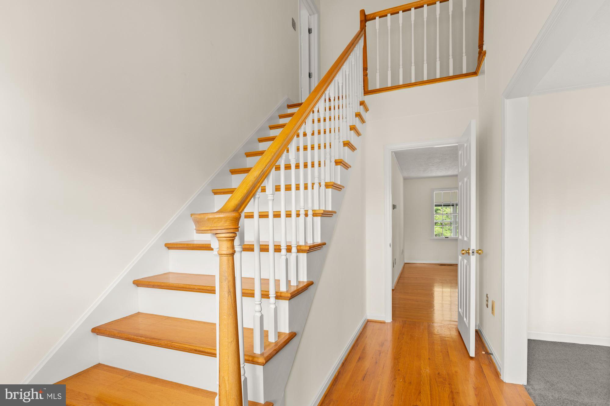 BLUE RIDGE DOWNS - Residential