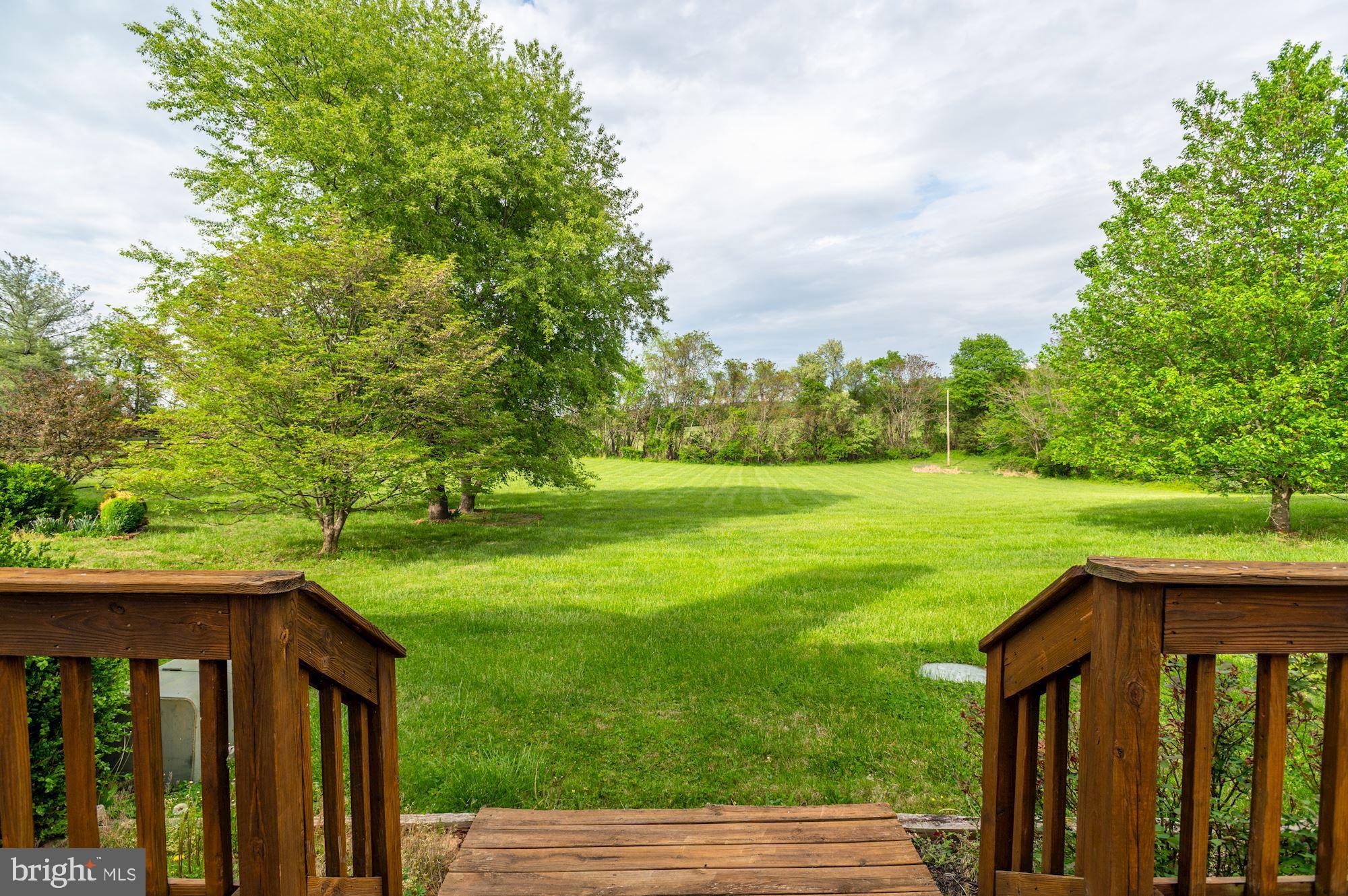 BLUE RIDGE DOWNS - Residential