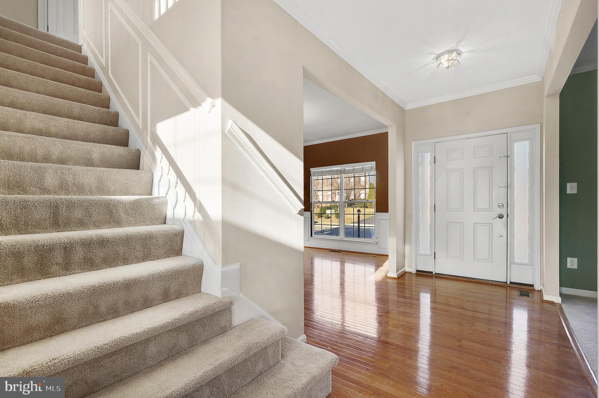 LANIER FARMS - Residential