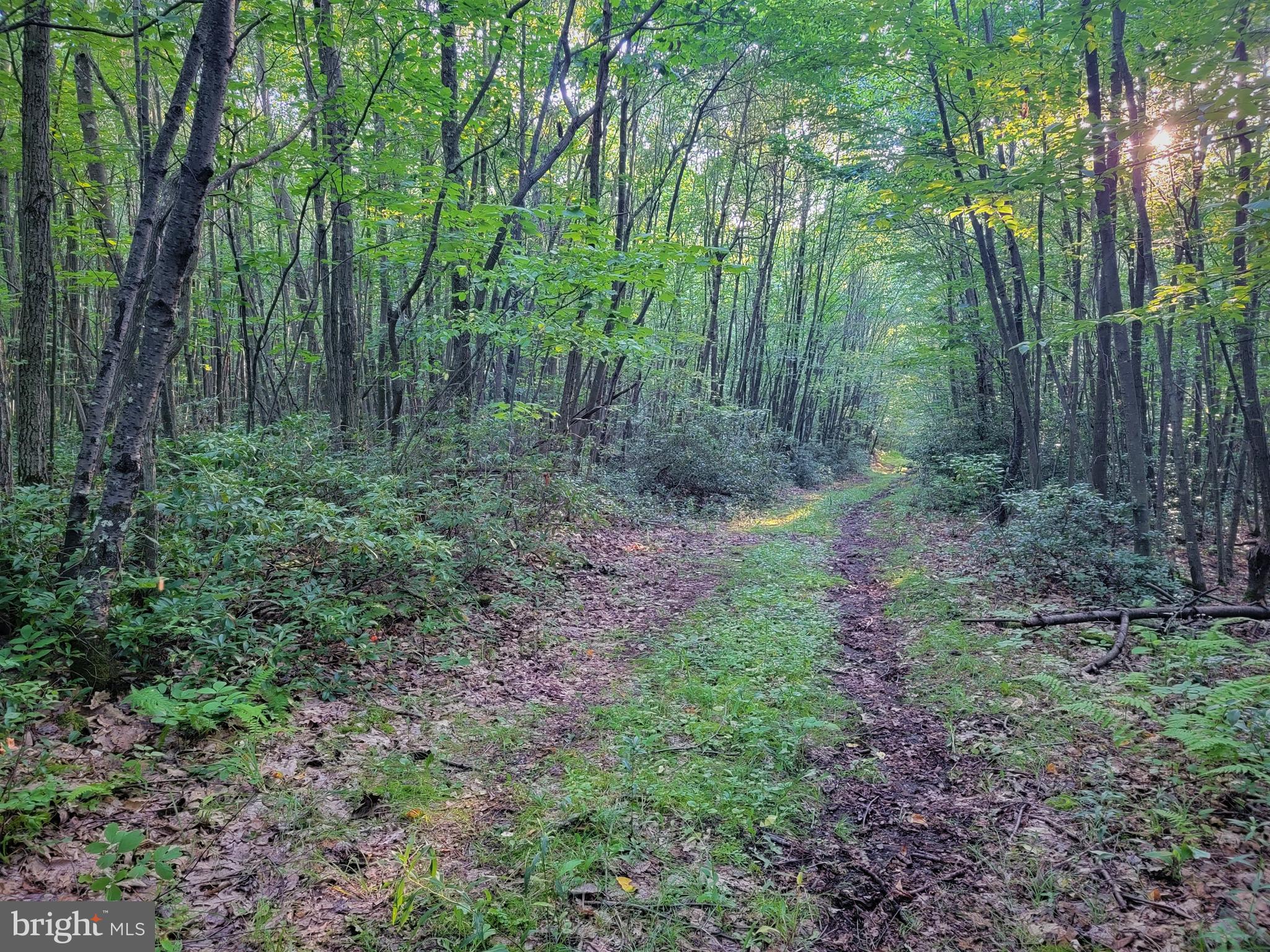 THE HIGHLANDS MEADOW MOUNTAIN - Land