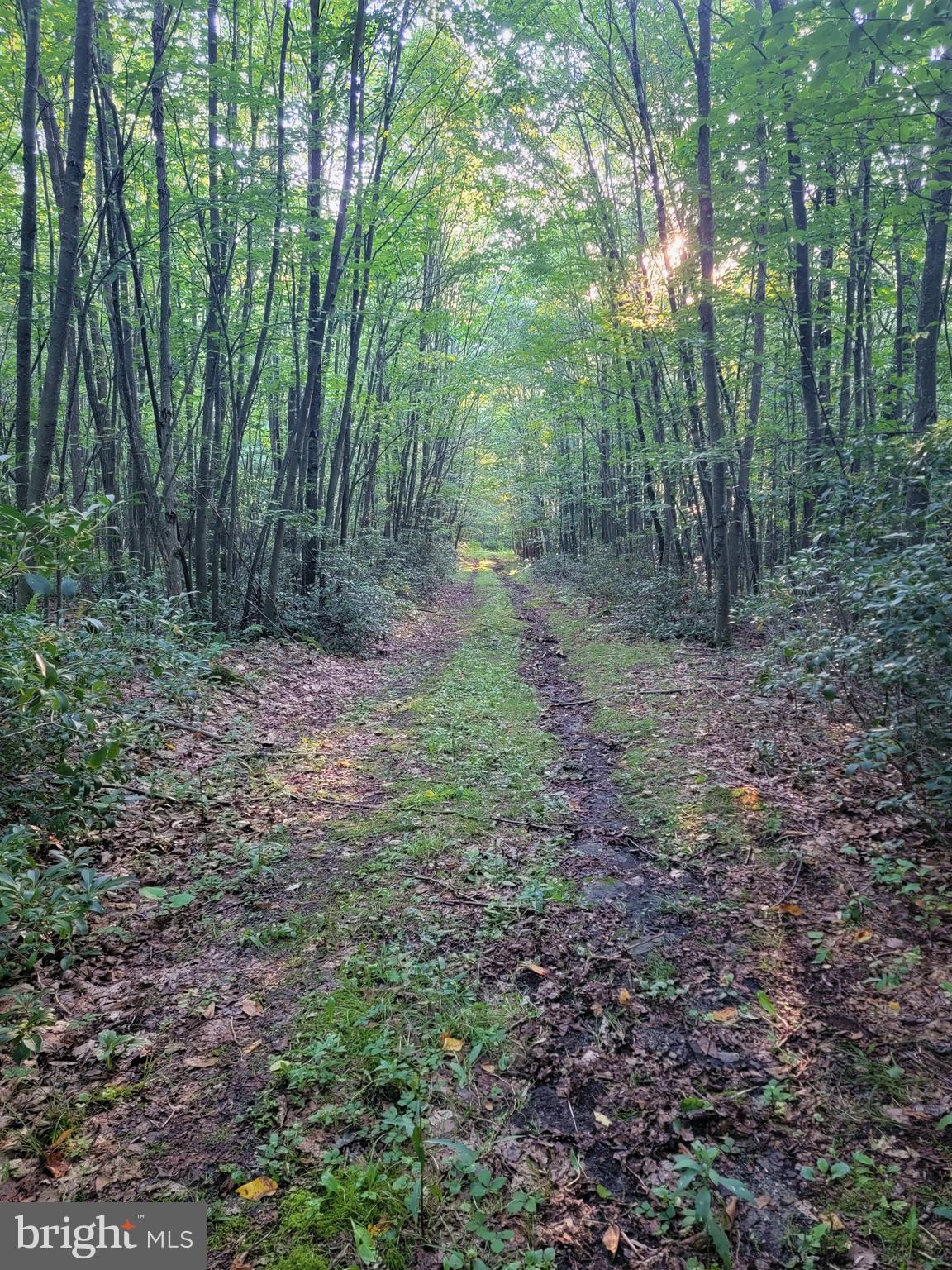 THE HIGHLANDS MEADOW MOUNTAIN - Land