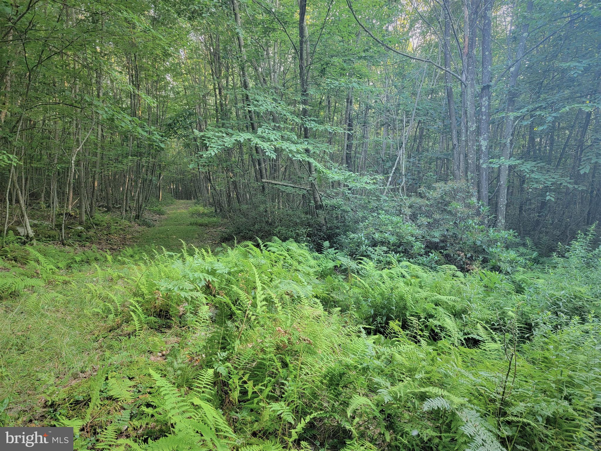 THE HIGHLANDS MEADOW MOUNTAIN - Land