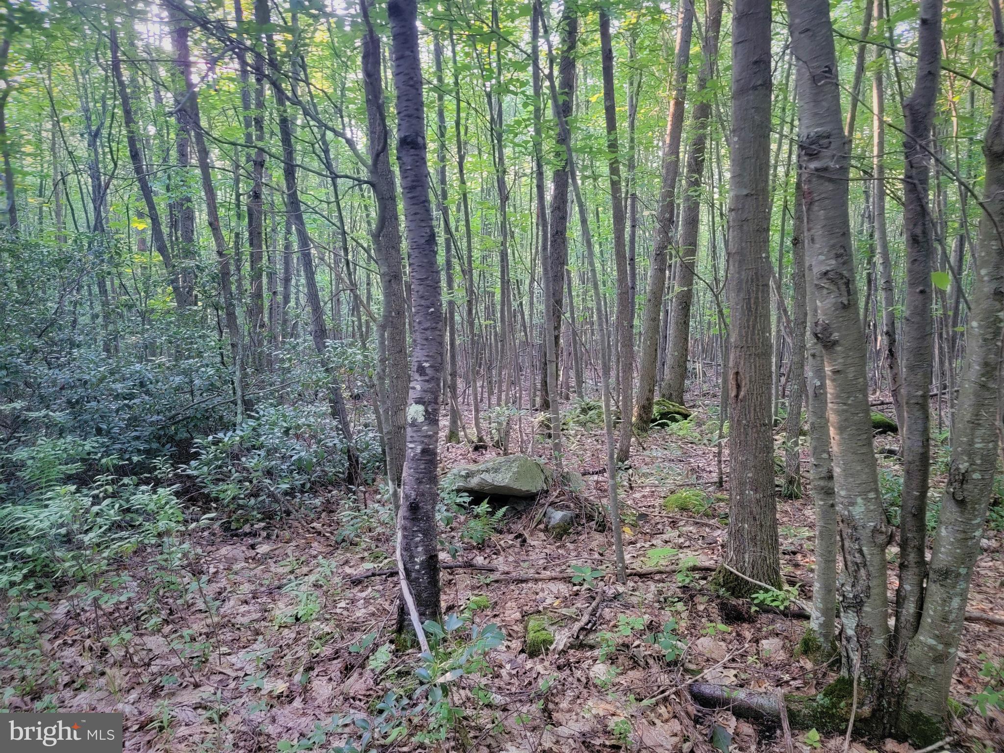 THE HIGHLANDS MEADOW MOUNTAIN - Land