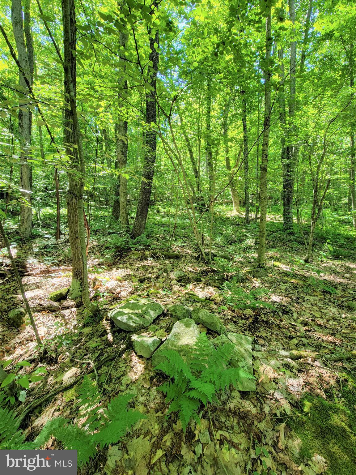 THE HIGHLANDS MEADOW MOUNTAIN - Land