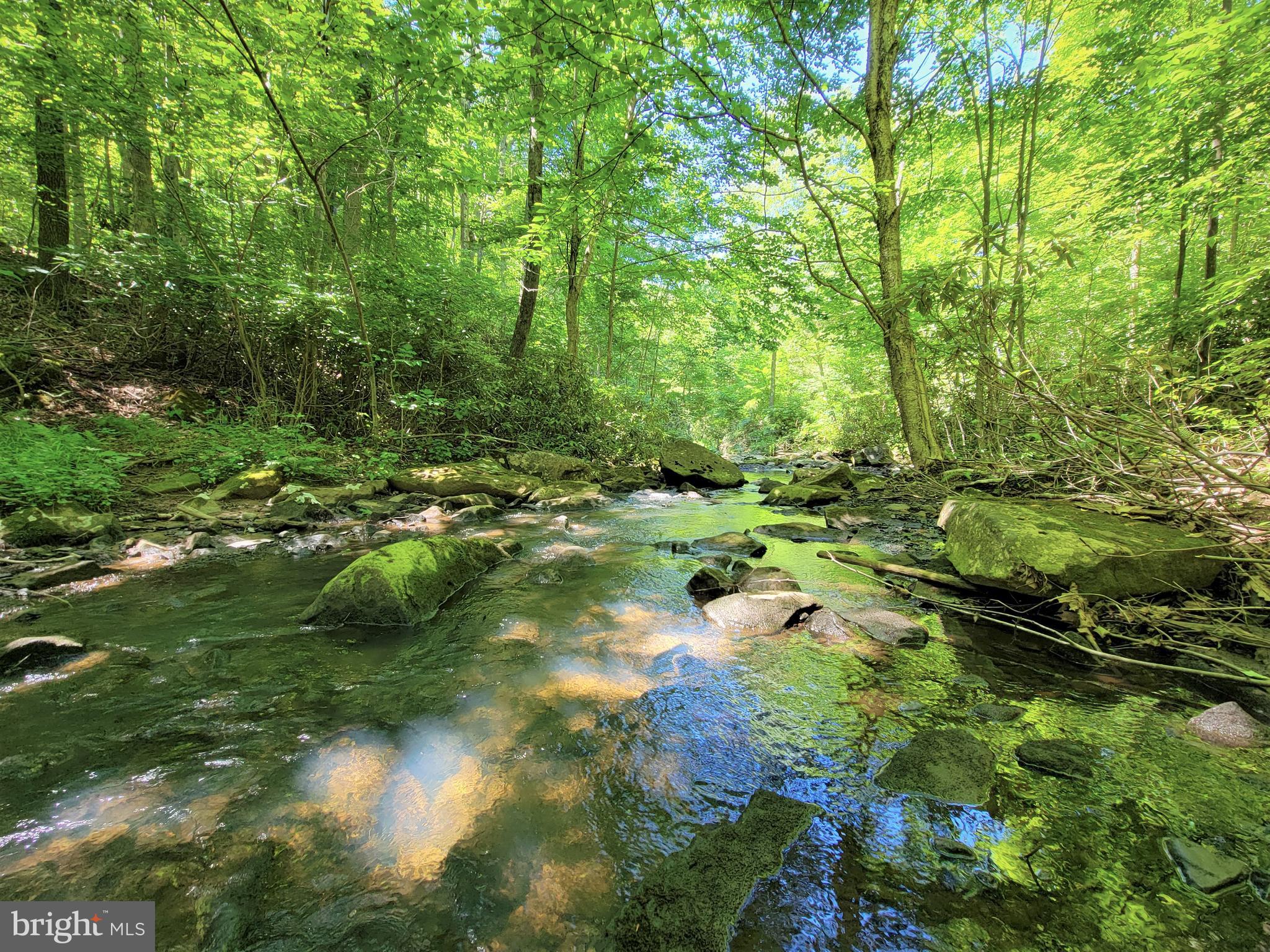 THE HIGHLANDS MEADOW MOUNTAIN - Land