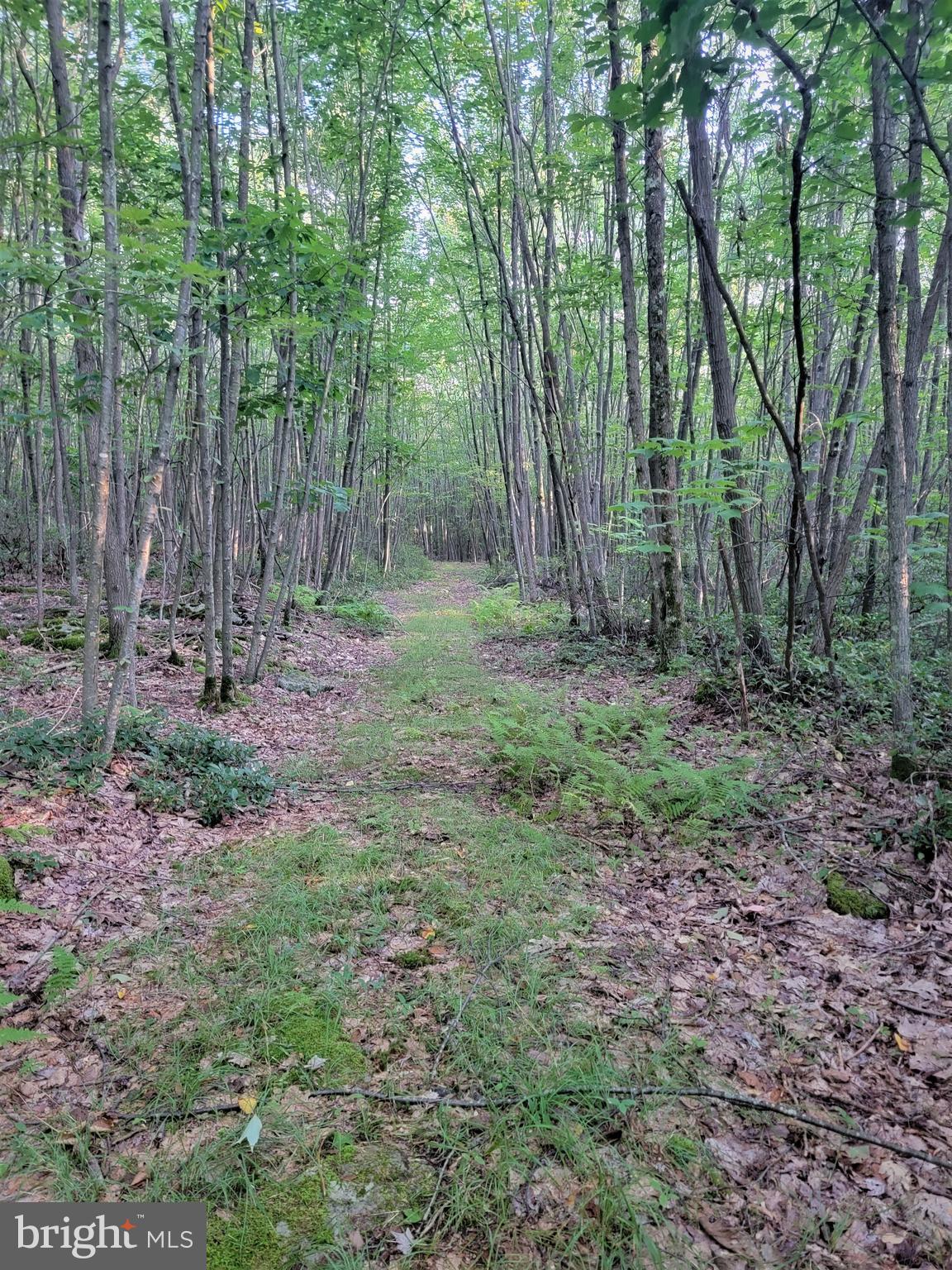 THE HIGHLANDS MEADOW MOUNTAIN - Land