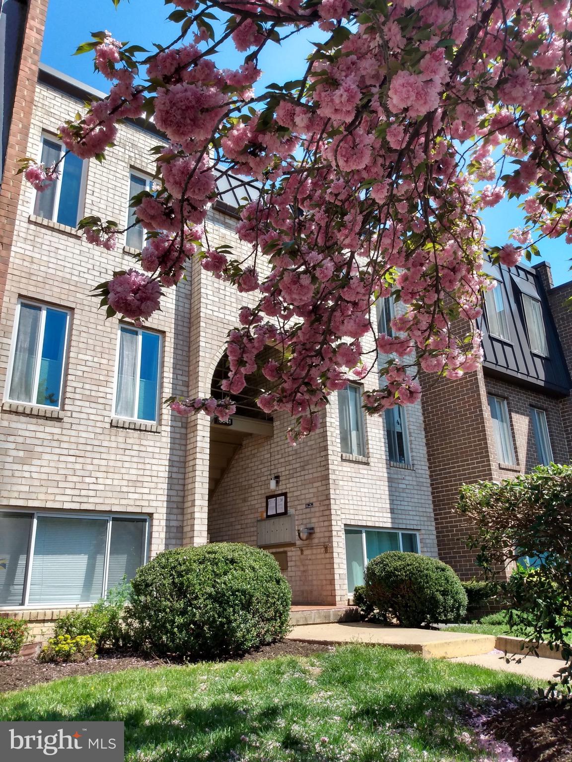 PARK SPRING - Residential