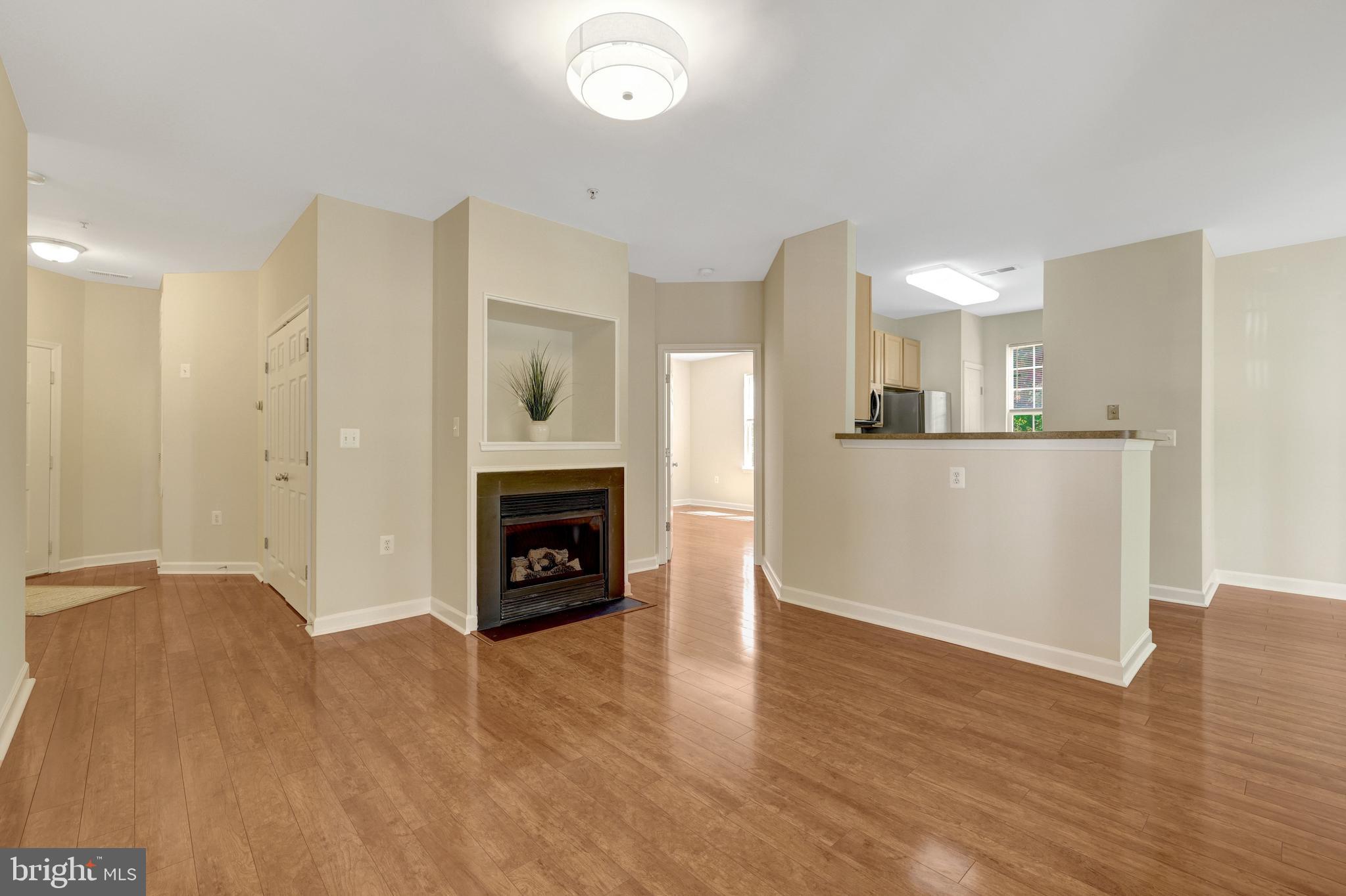22710 BLUE ELDER TERRACE 203