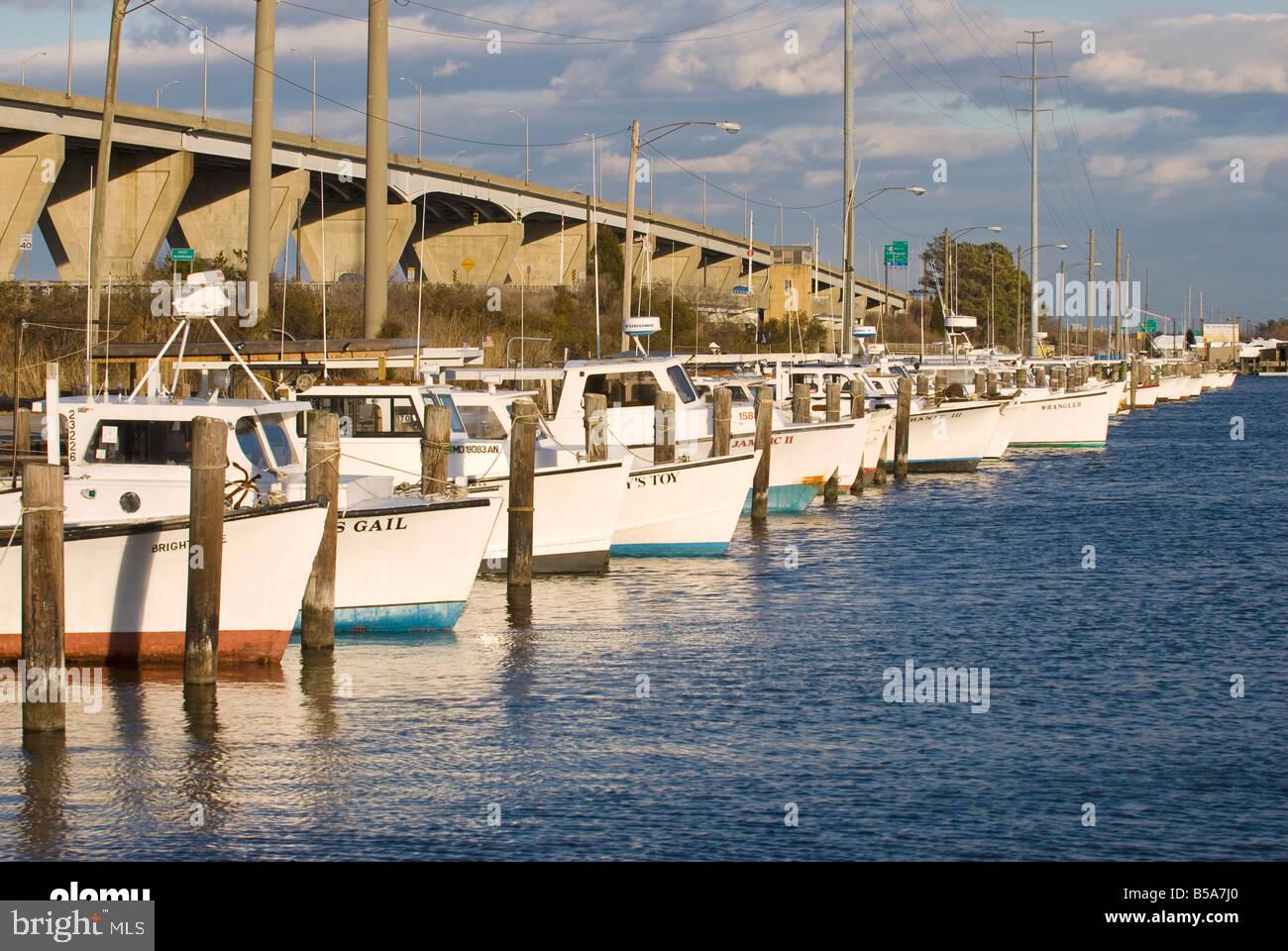 HARBOR VIEW - Residential
