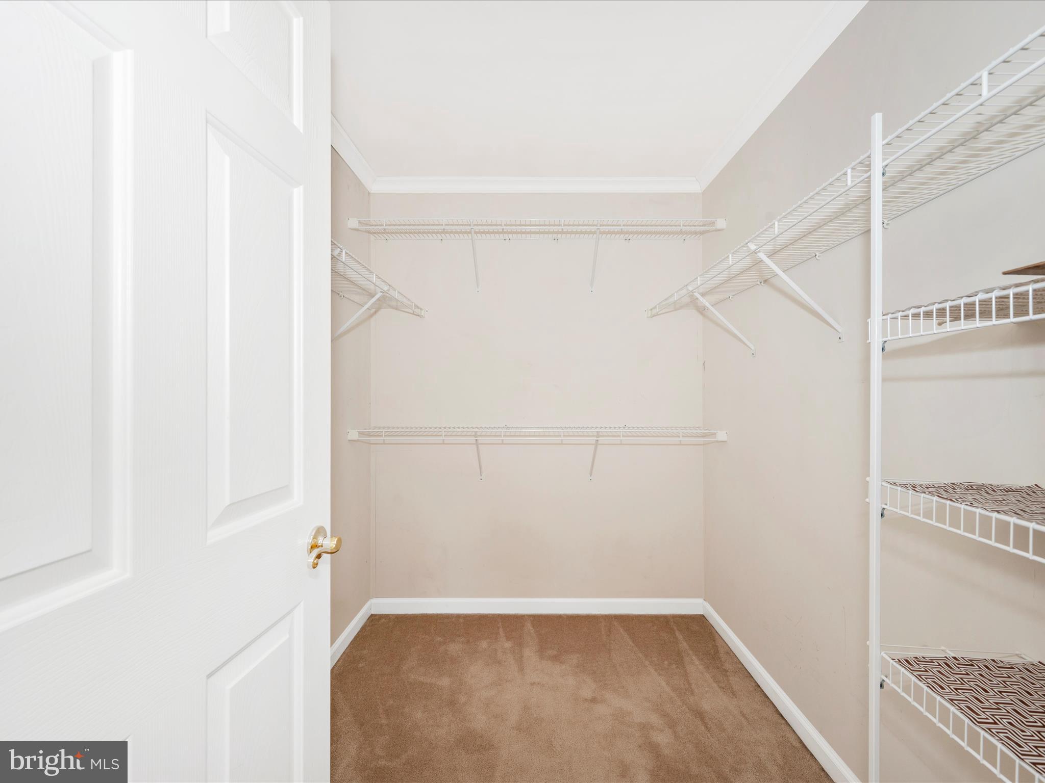 HAMPTONS OF BRIGHTWOOD - Residential