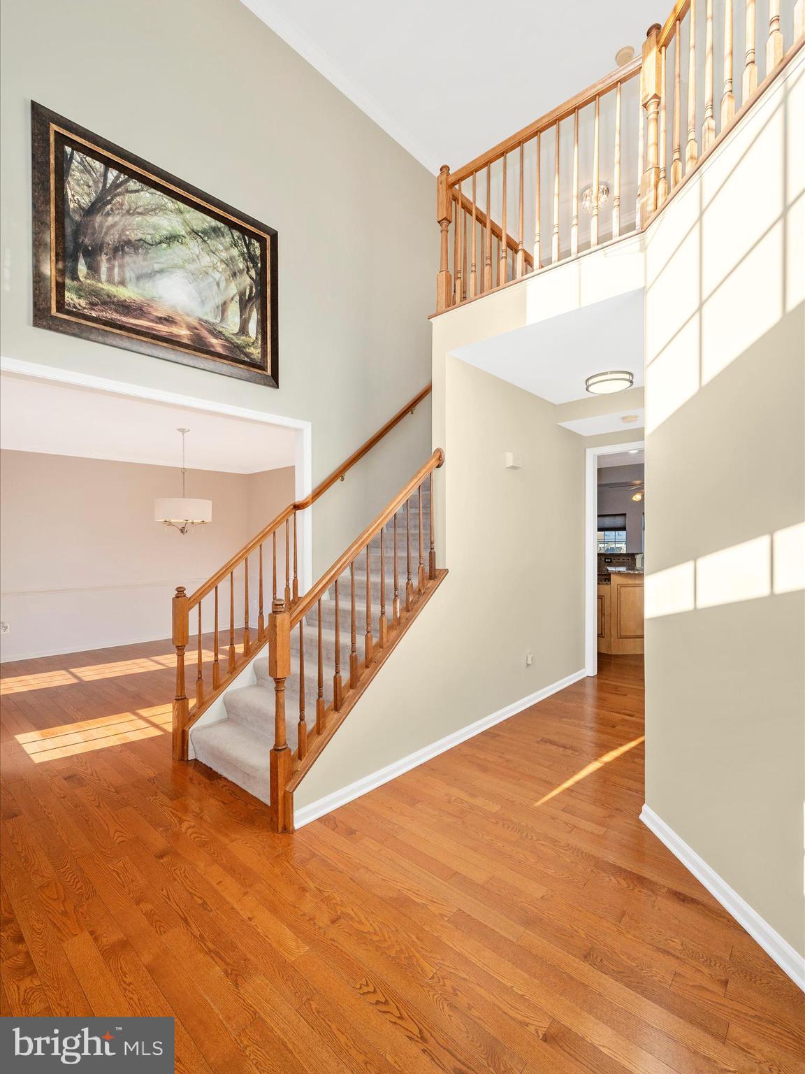 HAMPTONS OF BRIGHTWOOD - Residential