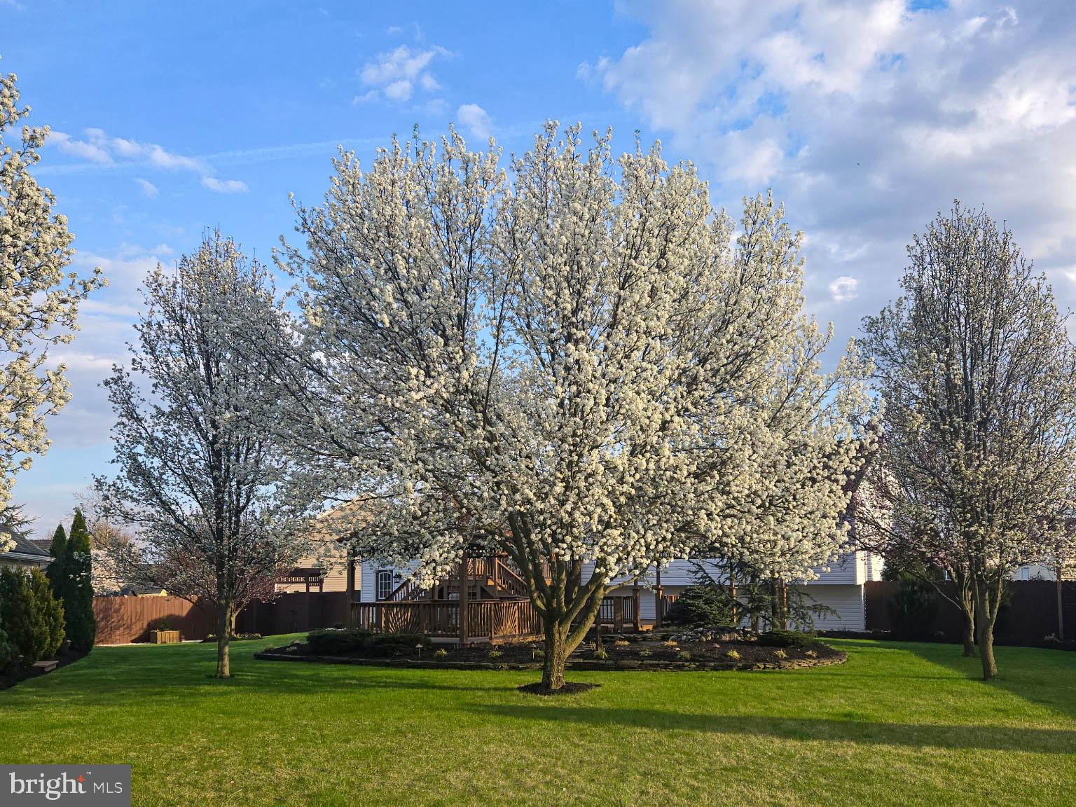 WOODLAND PARK - Residential