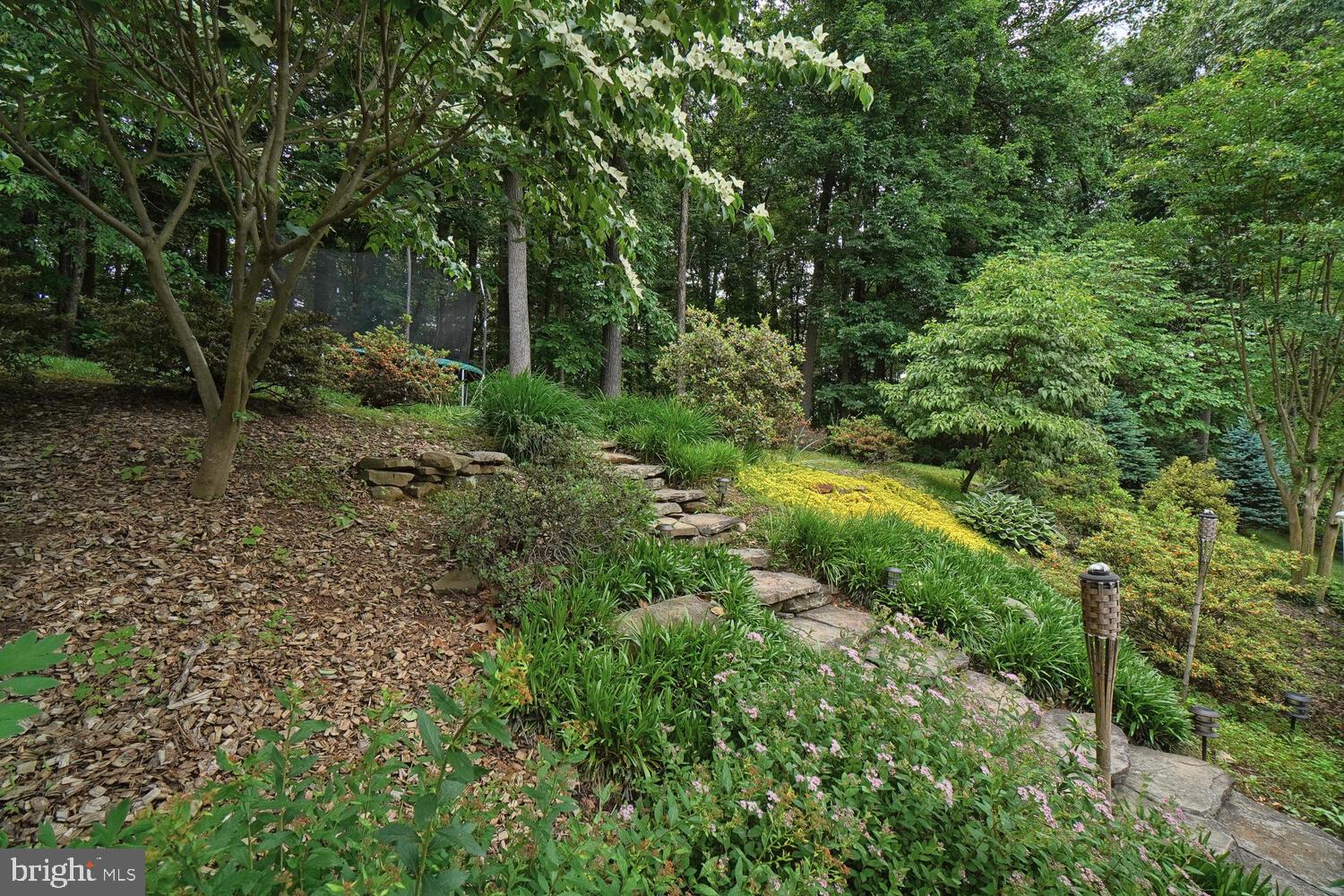 WINDSOR KNOLLS - Residential