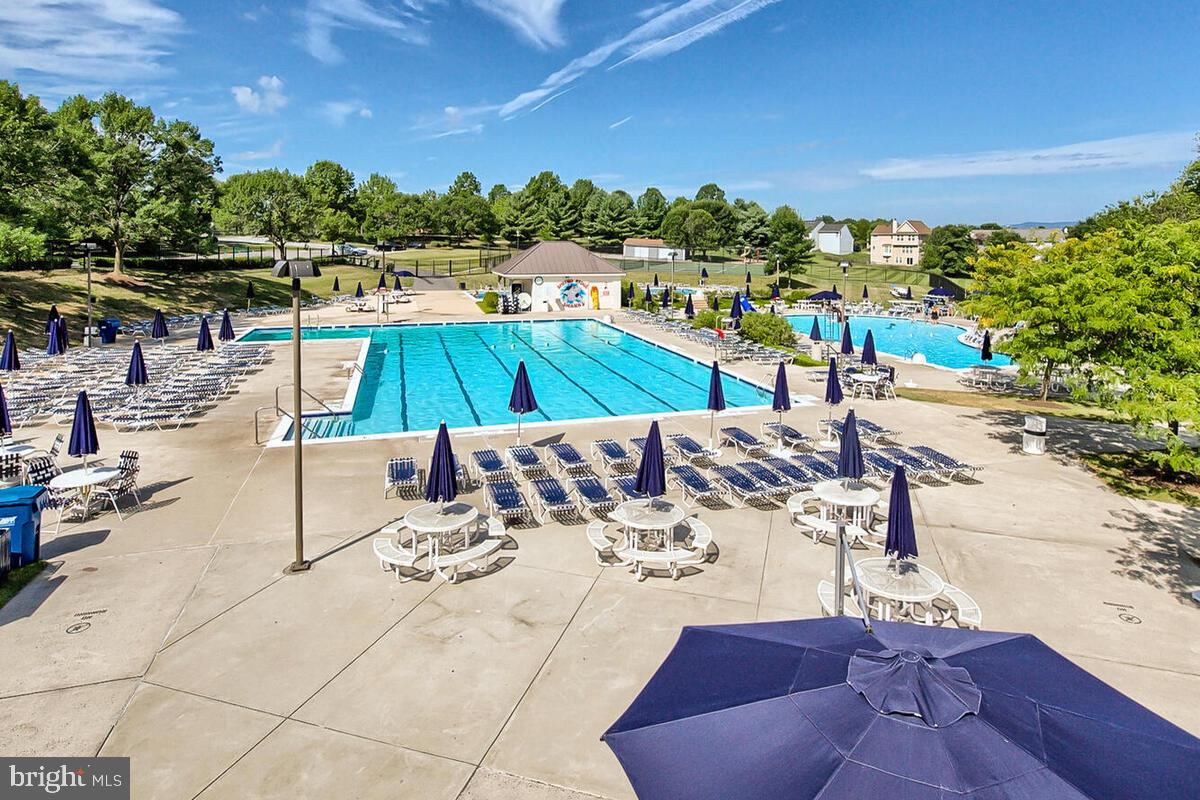 SPRING RIDGE - Residential Lease