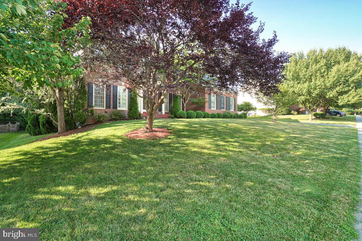 SPRING RIDGE - Residential Lease