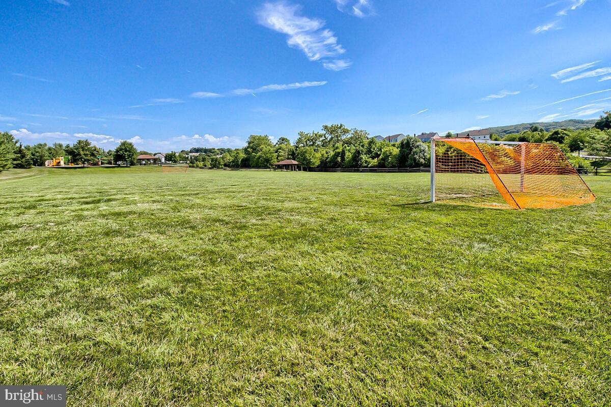 SPRING RIDGE - Residential Lease