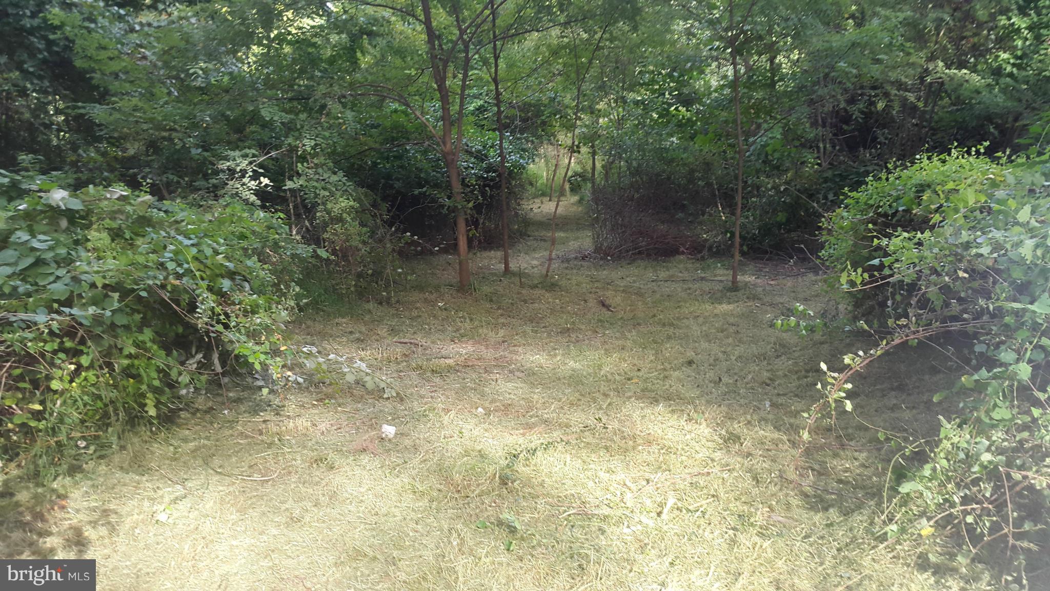 GLEN ALDEN - Residential