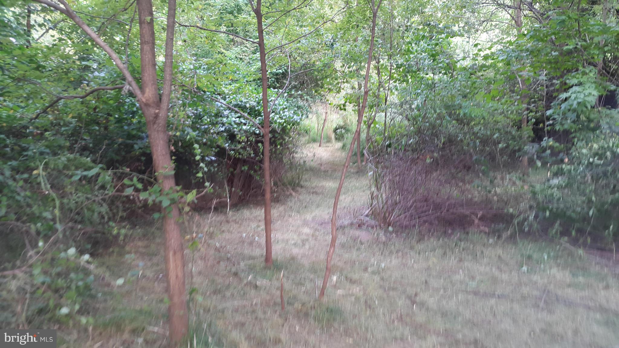 GLEN ALDEN - Residential