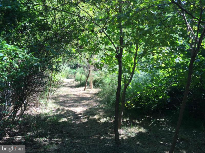 GLEN ALDEN - Residential