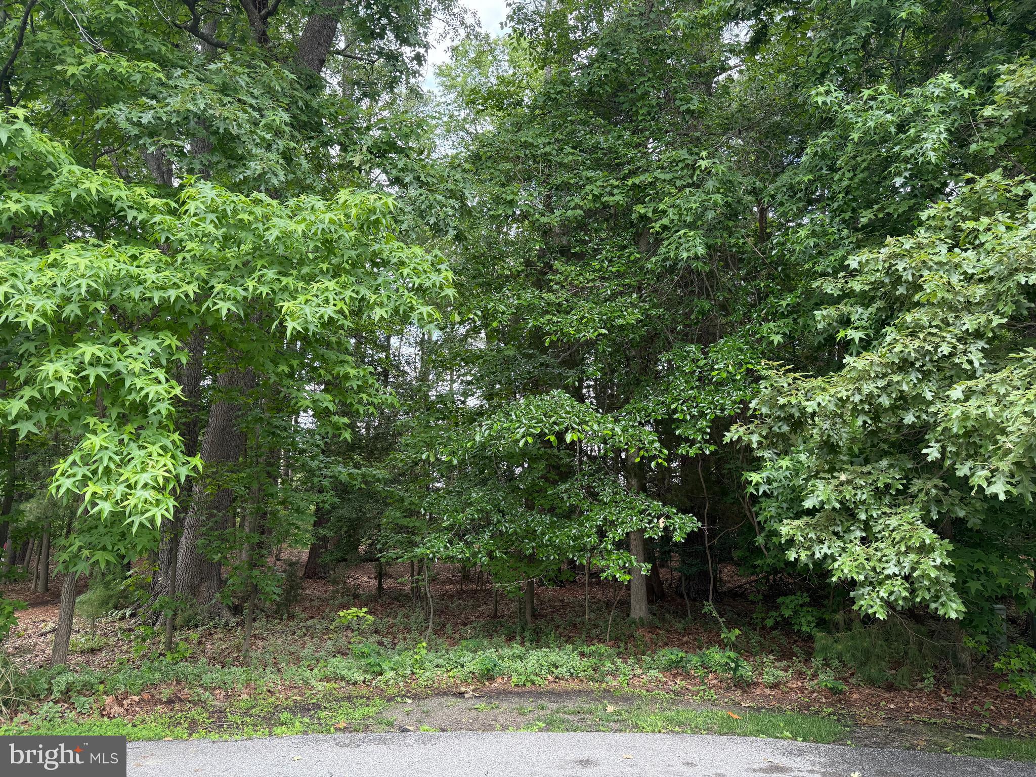 14680 BAR HARBOR COURT