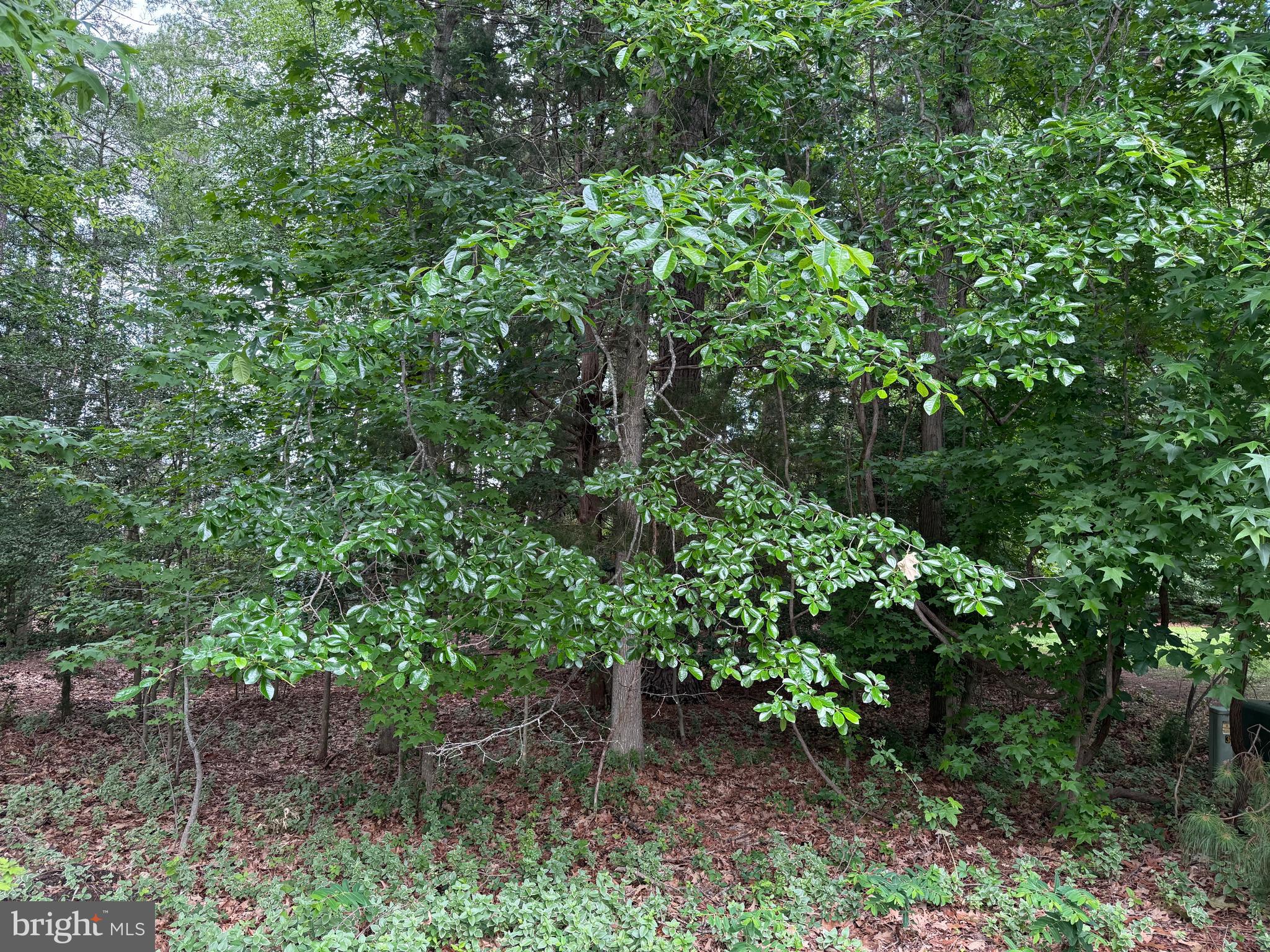 14680 BAR HARBOR COURT